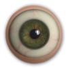 Moveable Eyes  + £80.00 