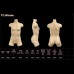 Jiusheng T2 Torso Head #16 (Riko)