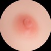 #5 Areolas 