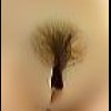 Brown Trimmed Pubic Hair 