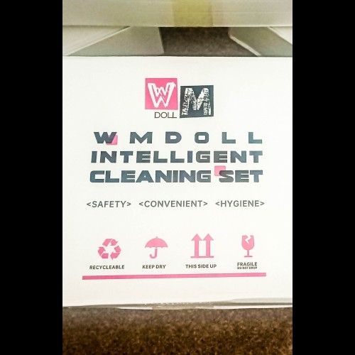 WM-Dolls Intelligent Cleaning System